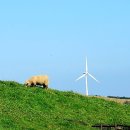 설악목장 이미지