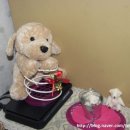 형제컴퓨터세탁소 이미지