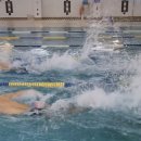 Team Shark 이미지