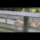 서율농장 이미지