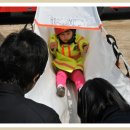 신천초교병설유치원 이미지