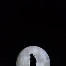 우암동 도시숲 이미지