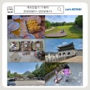 우남한의원 | 격주간일기 11회차 | 6월 1일부터 15일까지