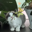 지개동산 이미지