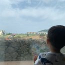 아기랑 제주 2주살기 #7 : 뽀로로파크, 난드르바당, 반디파스타, 원더아일랜드, 벨진밧, 대정족발, 함...