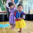 전하울스테이 이미지