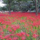 영광상사 이미지