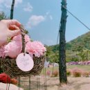 최고집숯불식육식당 이미지