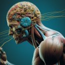 디엔엘고 이미지