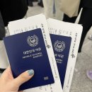 스카이카센타 | 뉴질랜드 신혼여행 Day 1,2(에어뉴질랜드 스카이카우치/크라이스트처치/칸모어호텔)