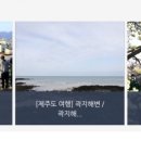 (주)노랑풍선시티버스 이미지