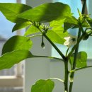 UR(경산시)-[삼성현로]-하-42 | 일상 , 5月