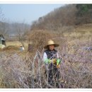 소망농장 이미지