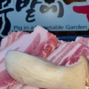 상추밭에돈 이미지