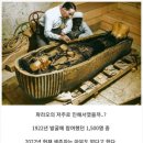 대죽리말무덤공중화장실 | 이집트 다녀온 후 쿠푸왕의 피라미드 VR 본 후기