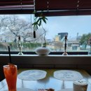 굴사랑백반 이미지