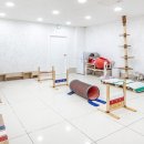 애견용품 창고형 할인매장 이미지