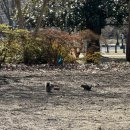 고성자연사박물관 | [워싱턴 여행기] 스미소니언 자연사 박물관 후기