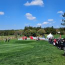 카매니지먼트 이미지