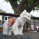 원텃골식당 이미지