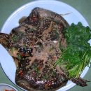 동아식당 Daum카페