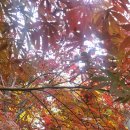 성균관유치원 이미지