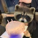 해피뚜데이 이미지