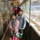 효재농장 네이버블로그