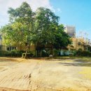 리리유치원 이미지