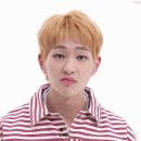 회조아