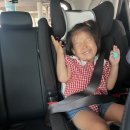 셀마트자판기 | [제주 엄딸 여행] 5살 아이와 2박3일 : 롯데렌트카, 금능해수욕장, 에니스케리 망고빙수, 화순사우나...