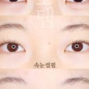 더보탬 네이버블로그