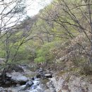 (오토캠핑) 운장산자연휴양림 (2012년4월28일 ~ 29일)