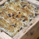 종일농원 이미지