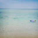 용화해수욕장 Daum카페