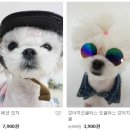 입어보개