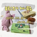 기가덴탈 | 놀로스토어 허니콤츄 후기｜강아지 치석 껌, 입냄새 관리용 덴탈껌 추천
