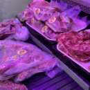 종가한우 농장 이미지