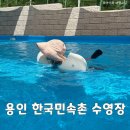 한국민속촌수영장 | 용인 아기랑 가볼만한곳) 한국민속촌 수영장 13000원 하루종일 후기