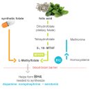 팜스약국 이미지