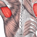 하트핏 휘트니스 이미지
