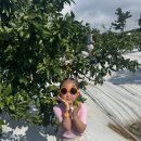 제주도와 김만덕 제주여행✈️ 이미지