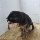 중산간동로 이미지