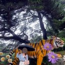 백두환경 - 316 | 봉화 국립백두대간수목원 방문 후기
