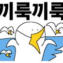 오복칼국수 이미지