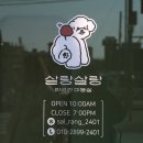 살랑살랑 반려견미용실 이미지