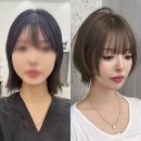 이지한헤어 | 성수미용실 단발 허쉬컷 펌 힙한 스타일링 전후차이
