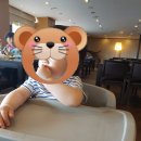 오션팰리스스크린골프