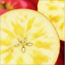 제로마진유통 이미지