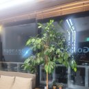 라온 스크린골프 이미지